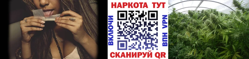 Виды наркоты Моздок COCAIN  Каннабис  Alpha PVP  ГАШ  МЕФ 