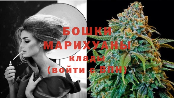дурь Алзамай