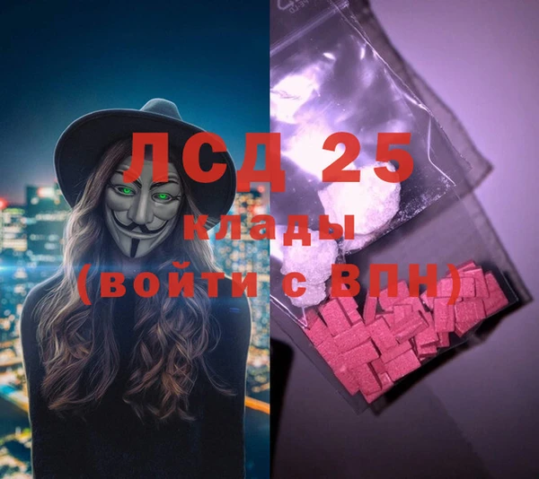индика Абинск