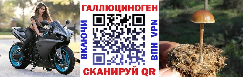 Галлюциногенные грибы Magic Shrooms  Моздок 