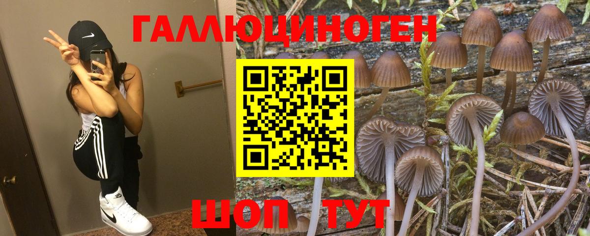 Псилоцибиновые грибы GOLDEN TEACHER Моздок
