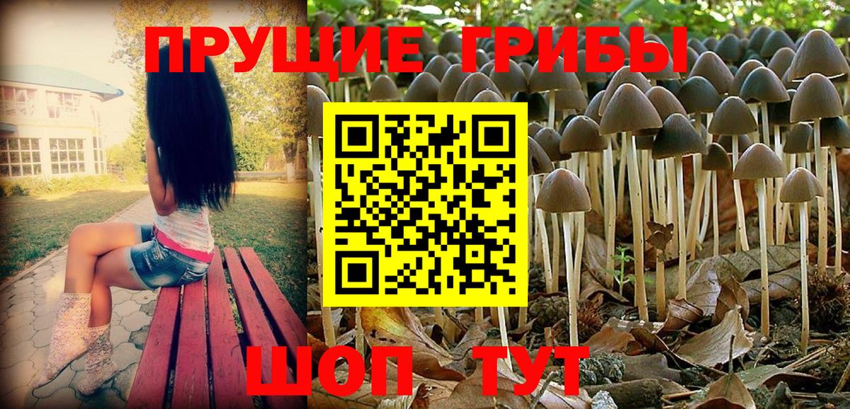 Псилоцибиновые грибы мухоморы  Галлюциногенные грибы мицелий  закладка  Моздок  Вход с VPN 